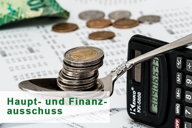 Haupt- und Finanzausschuss